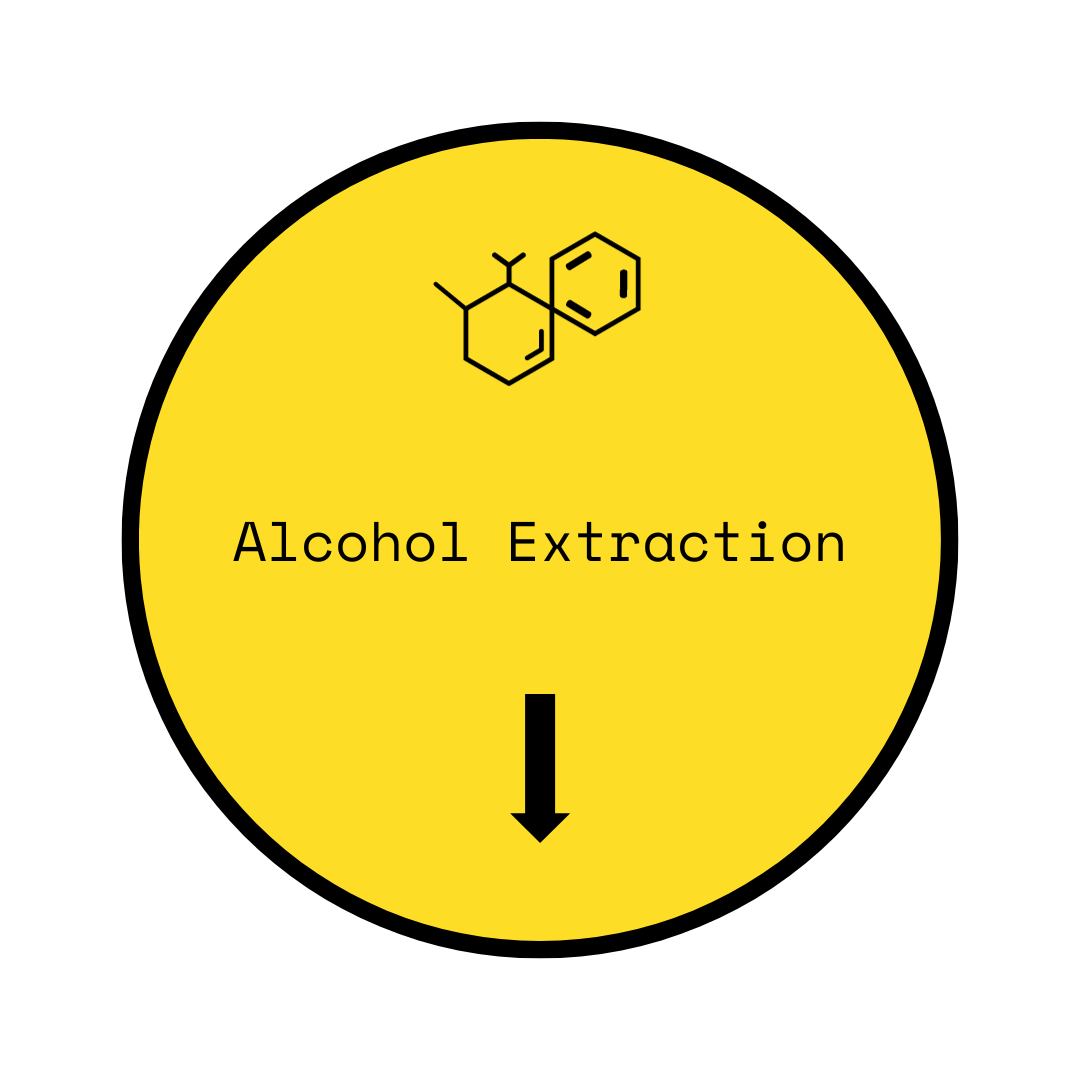 Organic Mushroom Alcohol Extraction