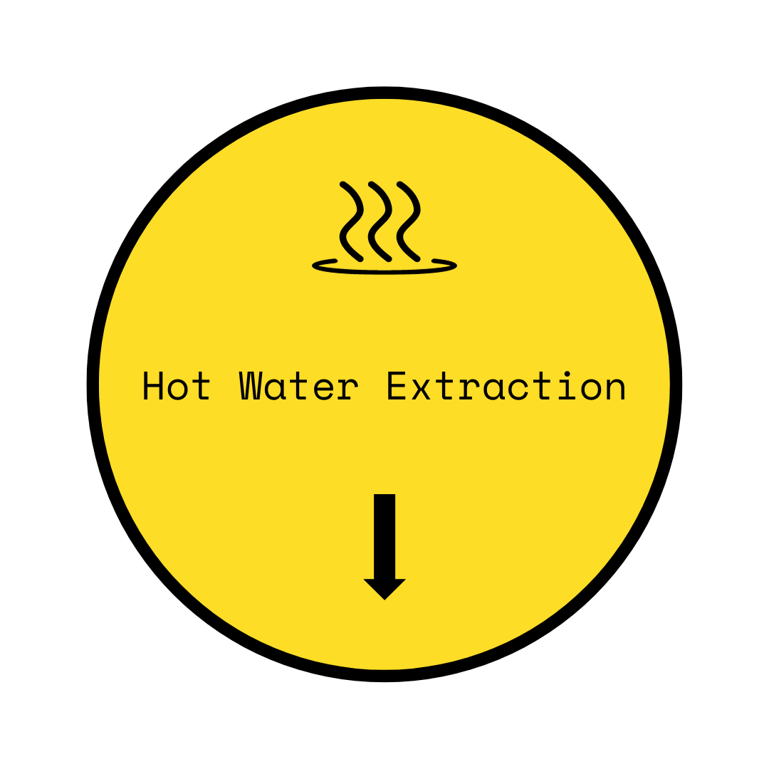 Organic Mushroom Hot Water Extraction